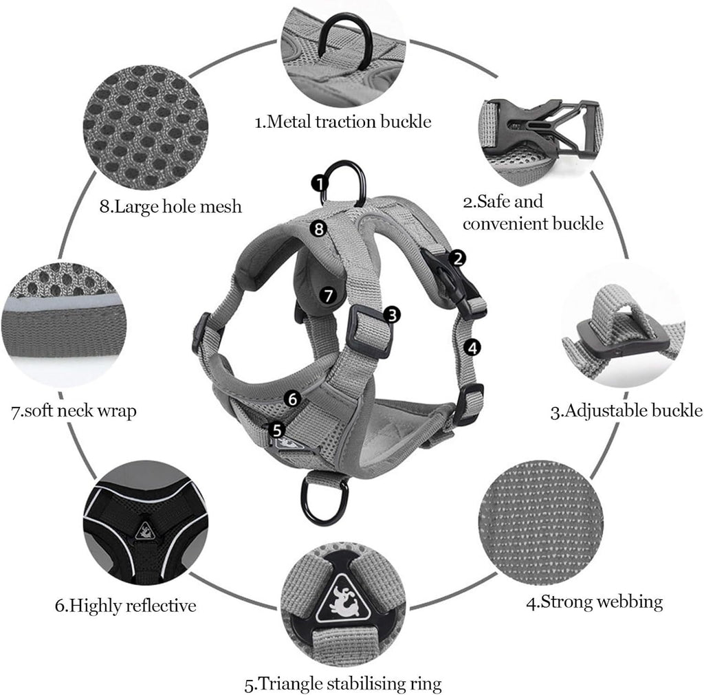 Summer Cat Chest Harness And Leash