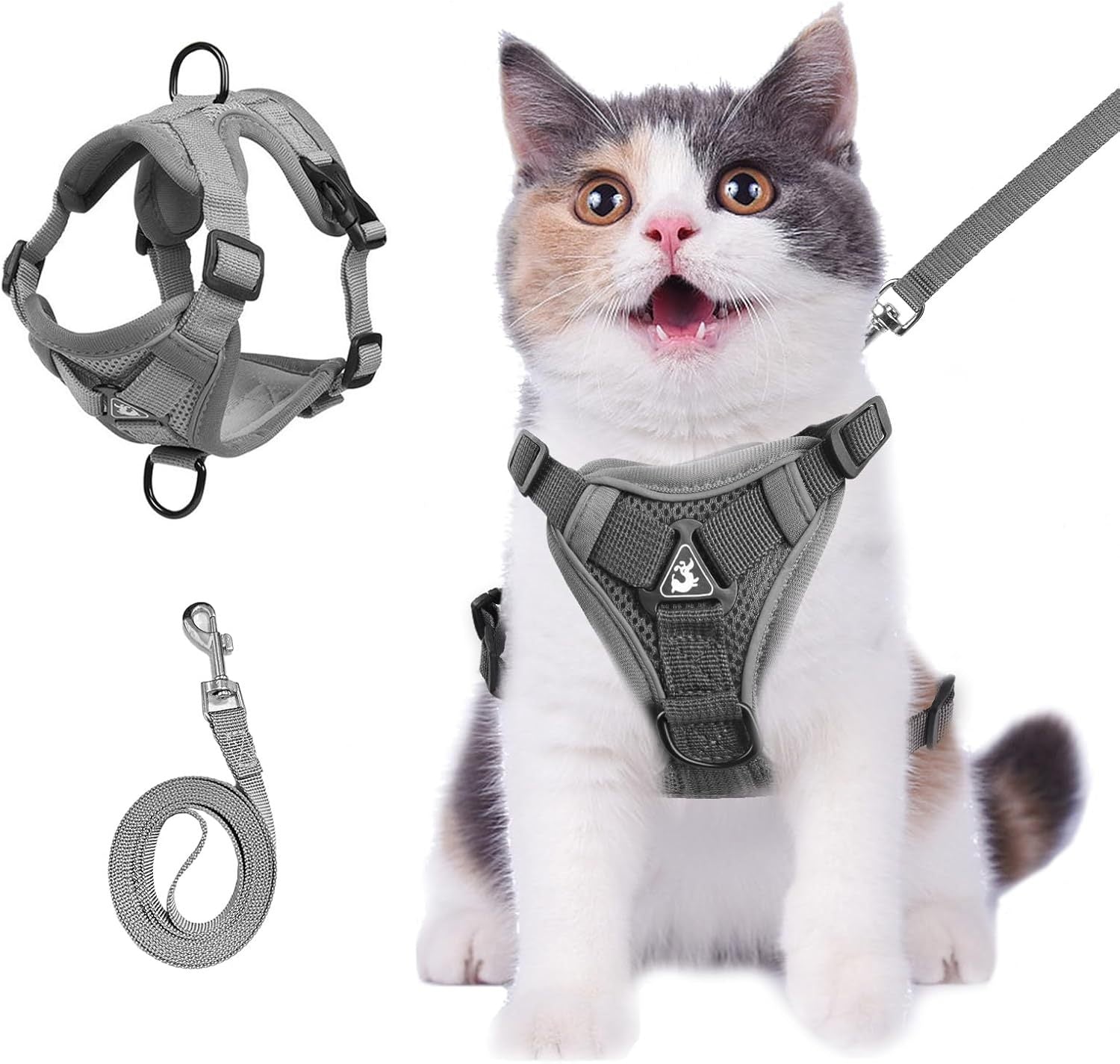 Summer Cat Chest Harness And Leash